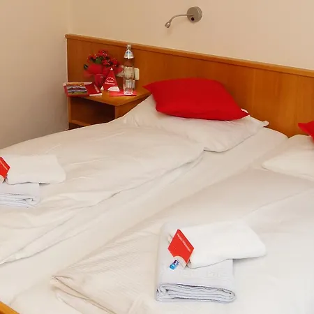 Naturhotel Steiner Hotel 3*